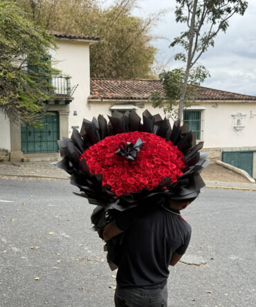 Rosas