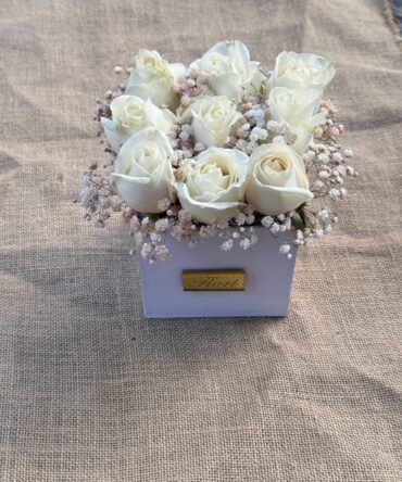 Box de nueve rosas con gipso