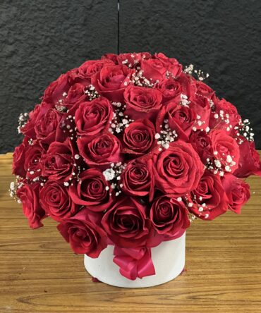 Box de 100 rosas