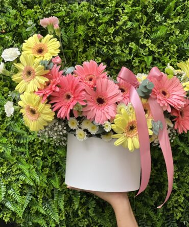 Caja de 15 gerberas