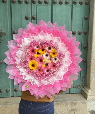 Mega gerberas de veinte con gipso rosa alrededor