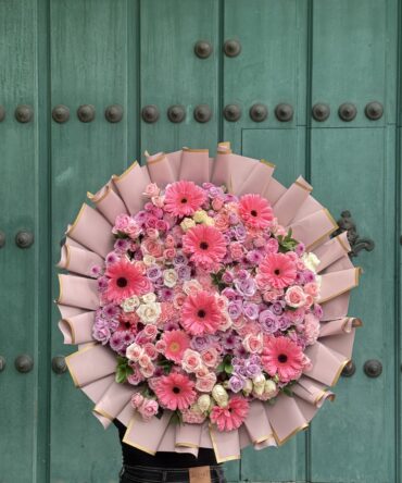 Romance di baby rosa con gerberas