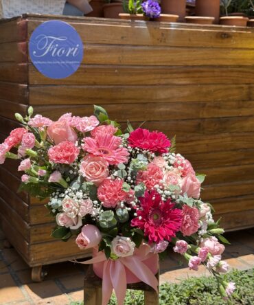 Box Luna gerbera