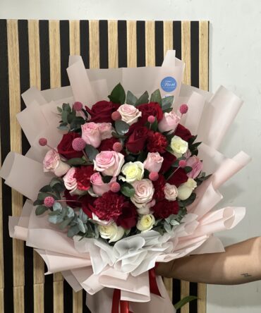 Rosa clavel