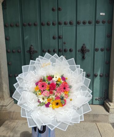Small primavera