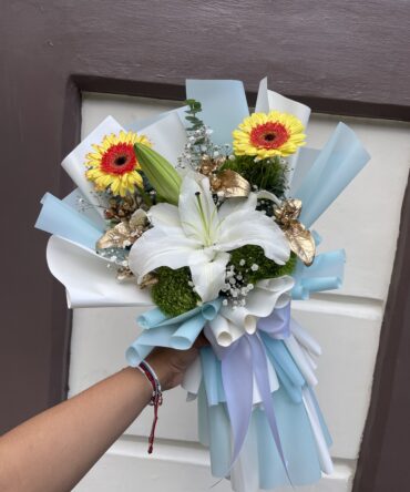 Lirio Gerbera mini