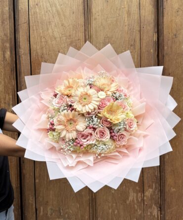 Delicate gerbera rose