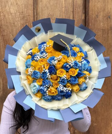 Graduando dos tonos azul y amarillo
