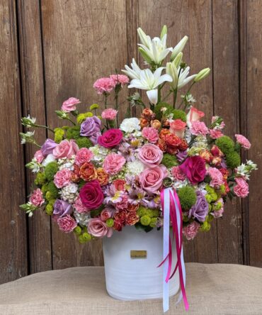 Box primavera