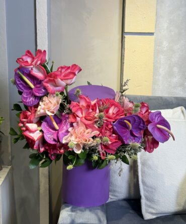 Box Rosado con morado