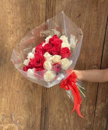 Capuchón dos tonos rojo y blanco de veinticuatro rosas